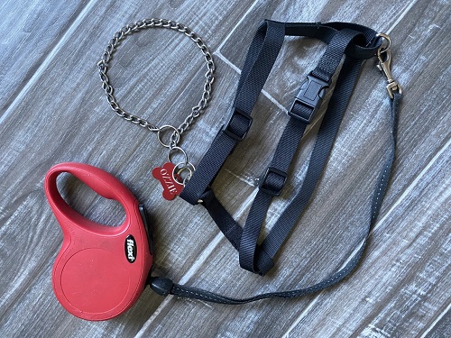 Gear we use for biking: harness, safety collar, and retractable leash