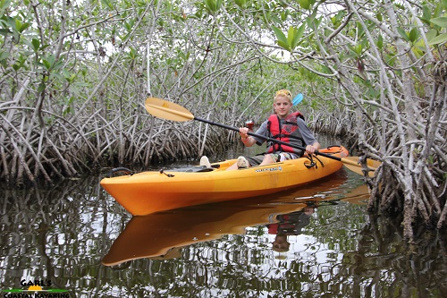 Red Mangrove Tunnel