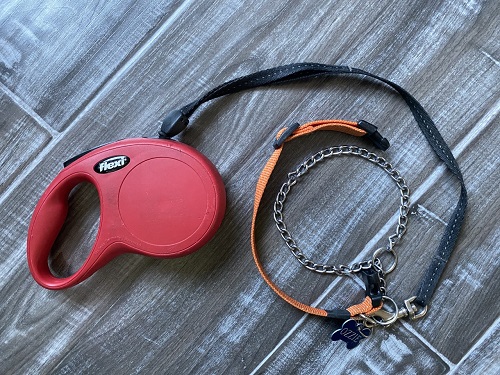 Gear we use for walking: flat collar, safety collar, and retractable leash